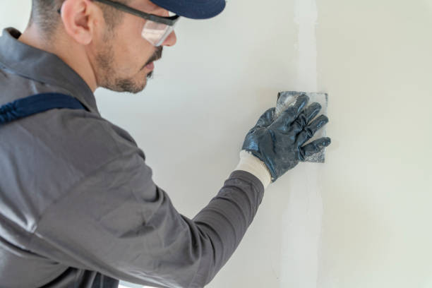 Best Mold-Related Health Consultation  in Tangelo Park, FL
