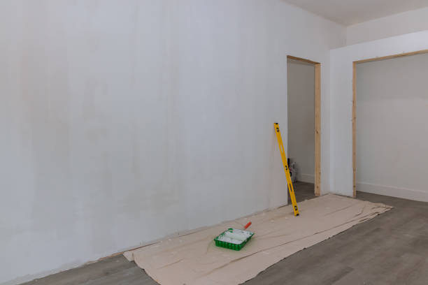 Best Comprehensive Air Testing for Mold Contaminants  in Tangelo Park, FL