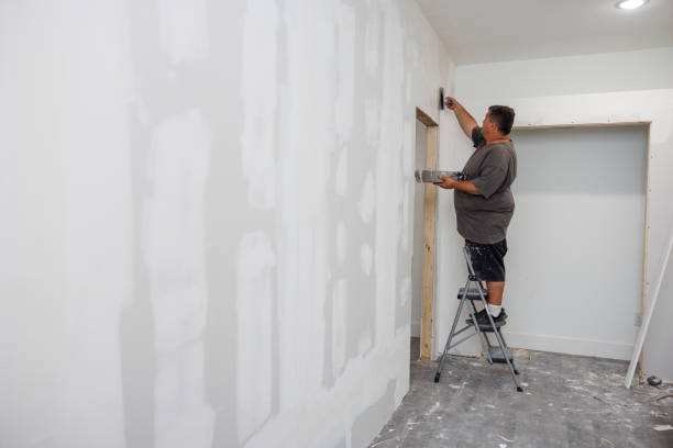 Best Mold Damage Restoration  in Tangelo Park, FL