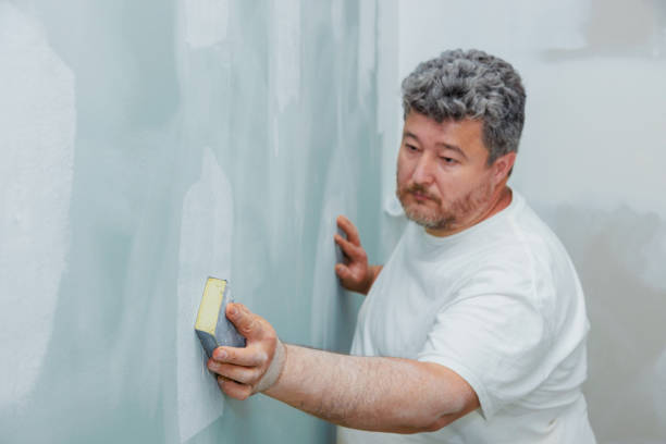 Best Real Estate Mold Inspection  in Tangelo Park, FL