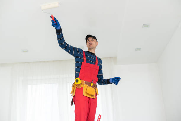 Best Post-Construction Mold Inspection  in Tangelo Park, FL