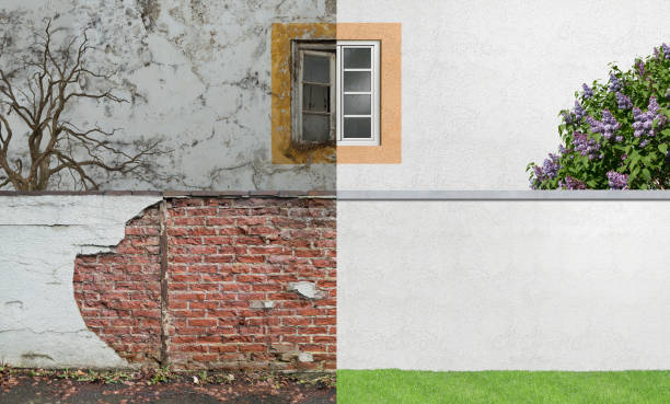 Best Black Mold Removal  in Tangelo Park, FL