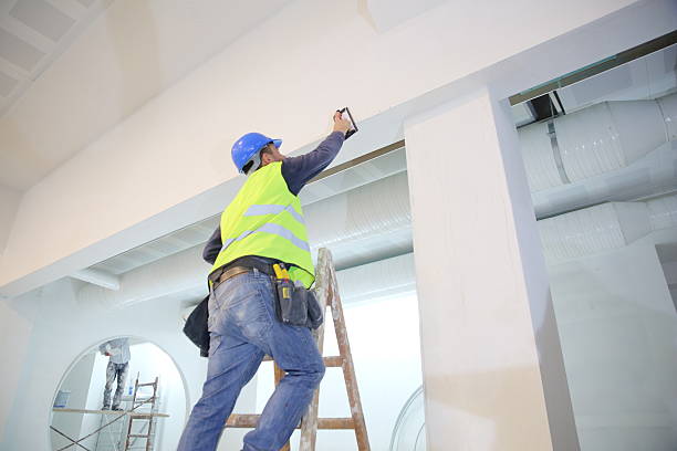 Best HVAC Mold Inspection and Cleaning  in Tangelo Park, FL